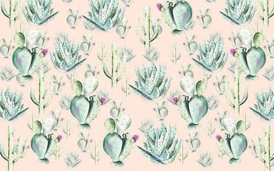 Fotobehang - Cactus Rose 400x250cm - Vliesbehang