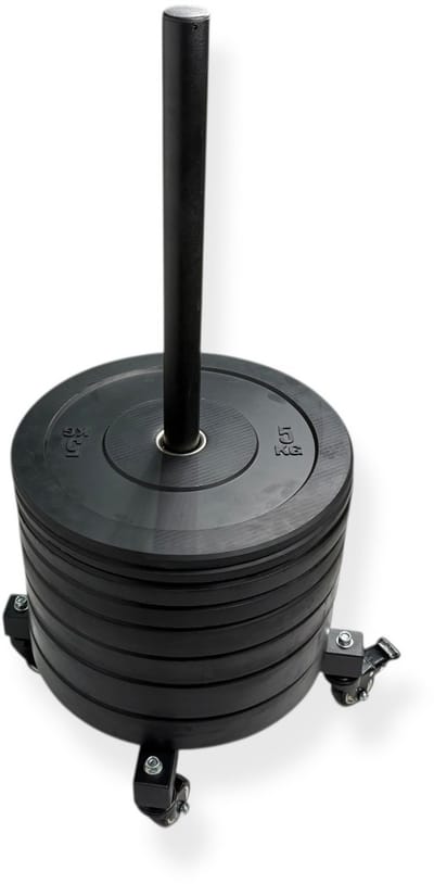 Padisport Movable Vertical Plate Rack Met Bumper Plates - Halterrek