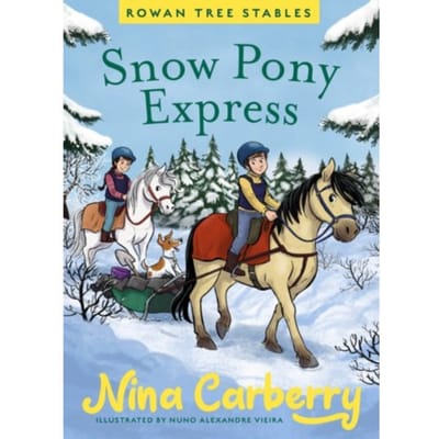 Rowan Tree Stables 3 - Snow Pony Express - Nina Carberry