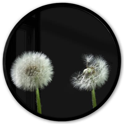 Poster in lijst Rond - Fotolijst 40x40 cm - Posters - Paardenbloem - Planten - Bloemen - Donker - Stilleven - Ronde posterlijst zwart - Decoratie - Wanddecoratie woonkamer - Muurdecoratie slaapkamer