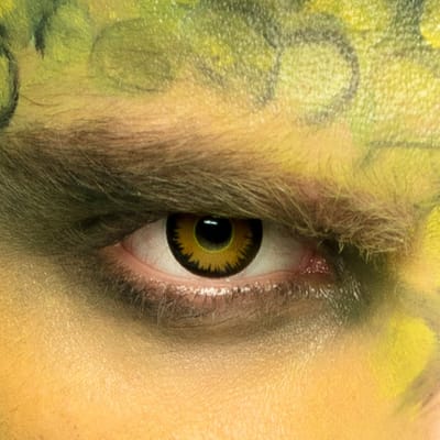 Boland - Paar 3-maandslenzen Dinosaurus - Volwassenen - Halloween en Horror - Halloween contactlenzen - Horror