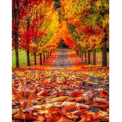 5D DIY Diamond Painting Volledige ronde diamant Herfst esdoornblad diamant kruissteek 20X30CM red
