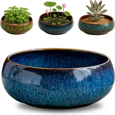 HEZIVO® Bonsai Schaal - Met Schotel - Keramische Pot - Decoratieve Bloemenkom - Blauw