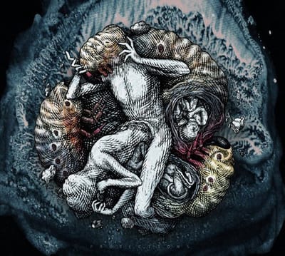 Across The Swarm - Projections (CD)