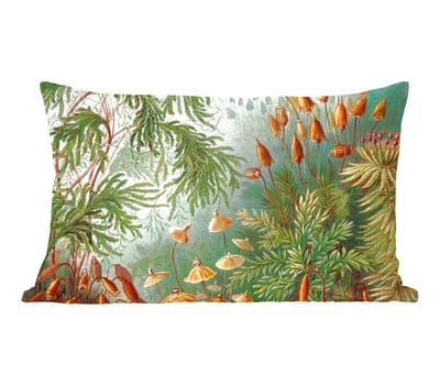 Sierkussens - Kussentjes Woonkamer - 60x40 cm - Oude meesters - Kunst - Muscinae - Haeckel