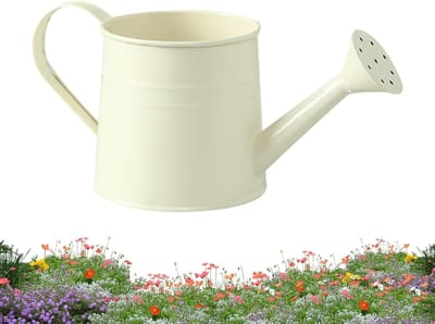 Gieter Metaal - Waterkannetje Bloemen - Planten Water Geven - Ergonomisch Handvat - 1 Liter - Beige