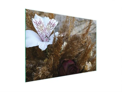 TMK ArtDeko Orchidea Serie - Glazen Snijplank - 30x22 cm - Verhoogde Werkruimte - Antislipvoetjes