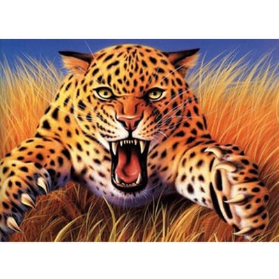 Diamant borduurwerk ronde boor diamant schilderij kruissteek brullende luipaard dier mozaïek foto 20X30CM black