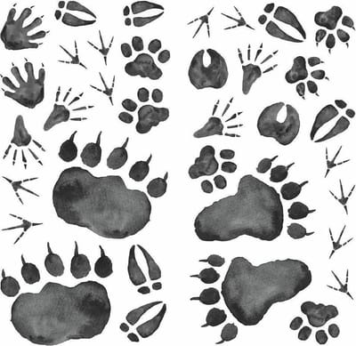 Roommates Muurstickers Animal Tracks Vinyl 70 Stuks