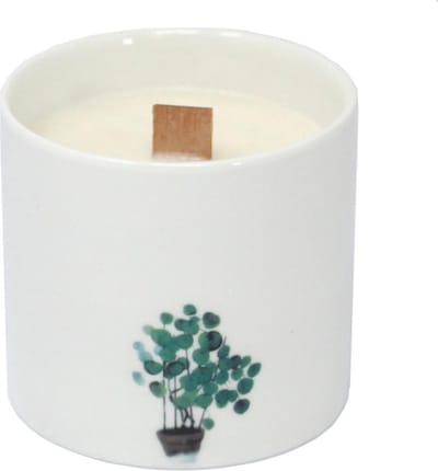Set Grote Botanische Geurkaarsen - Wilde Jasmijn - Soy Wax - Keramiek Potten