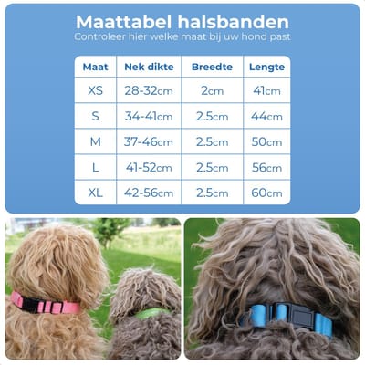 Dutchwide Lichtgevende Honden Halsband - M 37-46 cm - LED - Oplaadbaar - Halsbanden en Riemen - Hond - Geschikt voor Puppy - Lampje - Verlicht - Reflecterend - Verstelbaar - Blauw