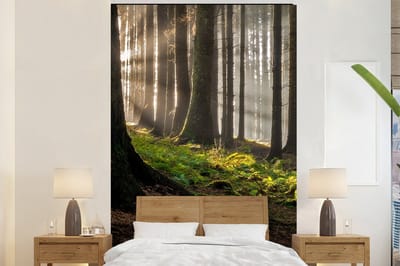 Behang - Fotobehang Zon - Takken - Bomen - Bos - Natuur - Breedte 200 cm x hoogte 300 cm