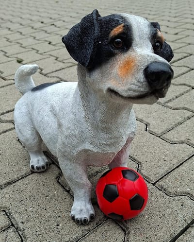 Jack Russell Beeld – Realistisch Hondenbeeld Staand Tricolor – Polystone – L43 x B17 x H33 cm – Tuinbeeld & Woondecoratie