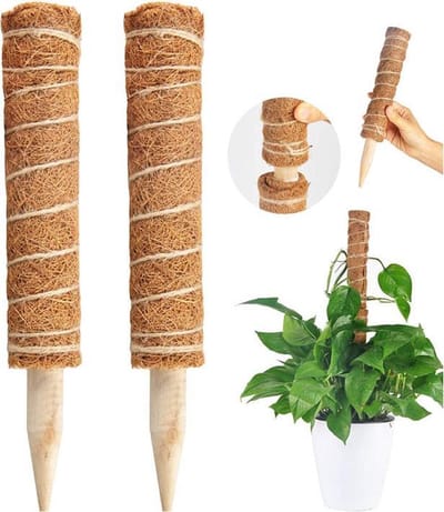 JU&MP Mosstok - Plantenstok - Plantensteun - Kamerplanten - Verlengbaar - 2x 50 Cm - Incl. Bindtouwtjes en Naambordjes