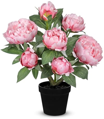 Dailygoods - Oairse Kunstpioenrozen in pot, realistische zijden nepplant voor huisdecoratie, faux roze pioenrozen bloem met witte pot, bloemendecoratie voor bruiloft, woonkamer, slaapkamer, kantoor, tafelstuk