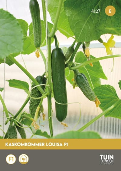 Kaskomkommer Louisa F1 Zaden – Bittervrije Komkommer ±40 cm – Hoge Opbrengst – Resistent – Voor Kas Teelt – Tuin de Bruijn