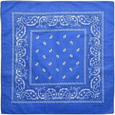 Haarsoires Haarband Bandana Zakdoek 55cm – Paisley Print – Blauw - Multifunctioneel Accessoire voor Haar, Festivals en Mode - One Size & Unisex