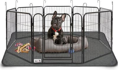 MaxxPet Puppyren - Hondenbench - Hondenren - Hondenkennel met 8 panelen - Staal - 60cm x 60cm - Incl. Drinkbakje + Plasmat