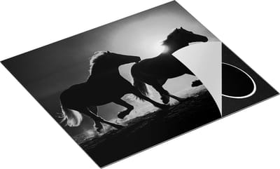 Chefcare Inductie Beschermer Silhouet van Twee Paarden - Zwart Wit - 60x50 cm - Afdekplaat Inductie - Kookplaat Beschermer - Inductie Mat