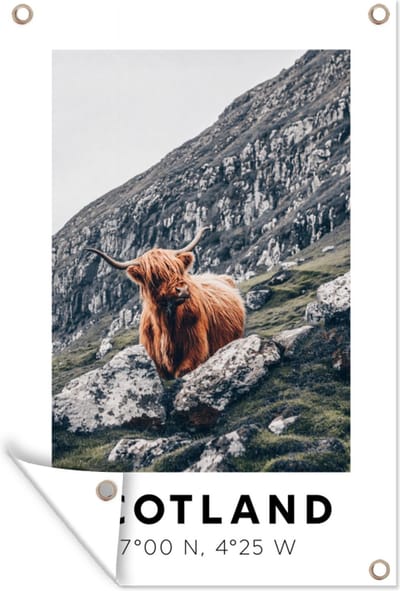 Muurdecoratie Schotland - Schotse hooglander - Bergen - 120x180 cm - Tuinposter - Tuindoek