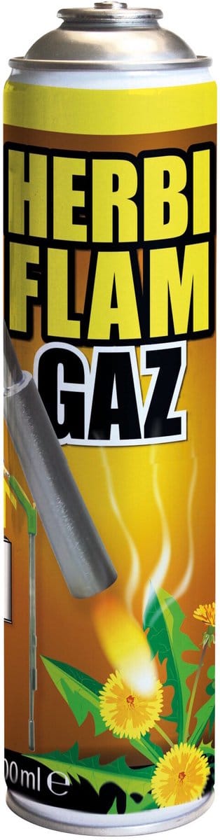 BSI - Herbiflam Gaz - Gasfles voor Herbiflam onkruidbrander - 600 ml