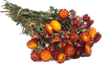 Gedroogd boeket - Natuurlijke decoratie - Huis versieren - Handgemaakt met bloemen - 60 cm hoogte - Rood-oranje