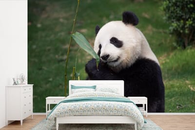 Behang - Fotobehang Pandabeer - Wilde dieren - Bladeren - Breedte 330 cm x hoogte 220 cm