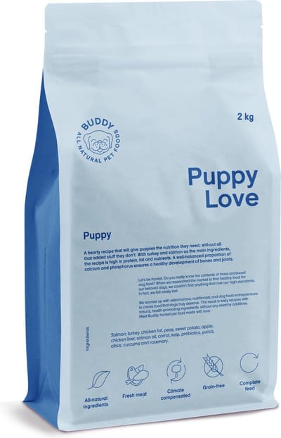 Buddy puppy love