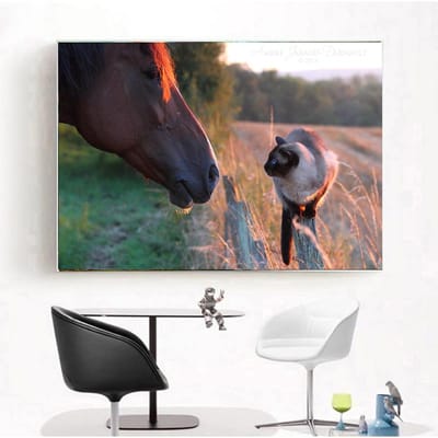 Volledige vierkante/ronde boor 5D DIY Diamond schilderij borduurwerk kruissteek 5D Home Decor cadeau Full Square 20X30CM