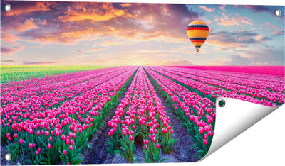 Gards Tuinposter Bloemenveld met Roze Tulpen - Luchtballon - 80x40 cm - Tuindoek - Tuindecoratie - Wanddecoratie buiten - Tuinschilderij