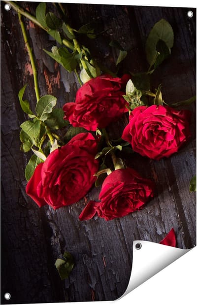 Gards Tuinposter Rode Rozen op de Grond - 60x80 cm - Tuindoek - Tuindecoratie - Wanddecoratie buiten - Tuinschilderij