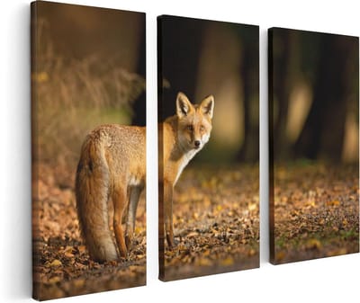 Artaza Canvas Schilderij Drieluik Vos in het Herfstbos - 120x80 - Foto Op Canvas - Canvas Print