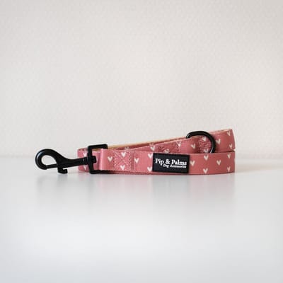 Pip & Palms - Hondenriem Love is in the Air - 152cm lang - Roze - 2cm breed - Comfortabel & Stijlvol - Honden looplijn - Voor Wandelen en Training