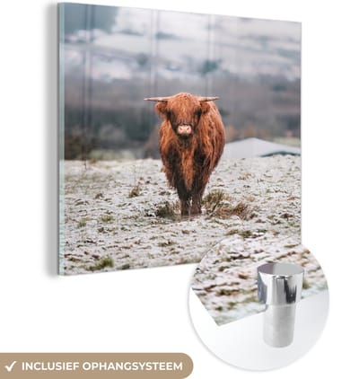 MuchoWow® Glasschilderij 50x50 cm - Schilderij acrylglas - Schotse Hooglander - Sneeuw - Berg - Foto op glas - Schilderijen