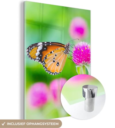 MuchoWow® Glasschilderij 30x40 cm - Schilderij acrylglas - Landelijk - Vlinder - Distel - Bloem - Foto op glas - Schilderijen