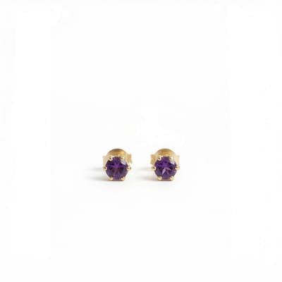 Oorknopjes Geboortesteen Februari Amethist Goud | cadeau dames
