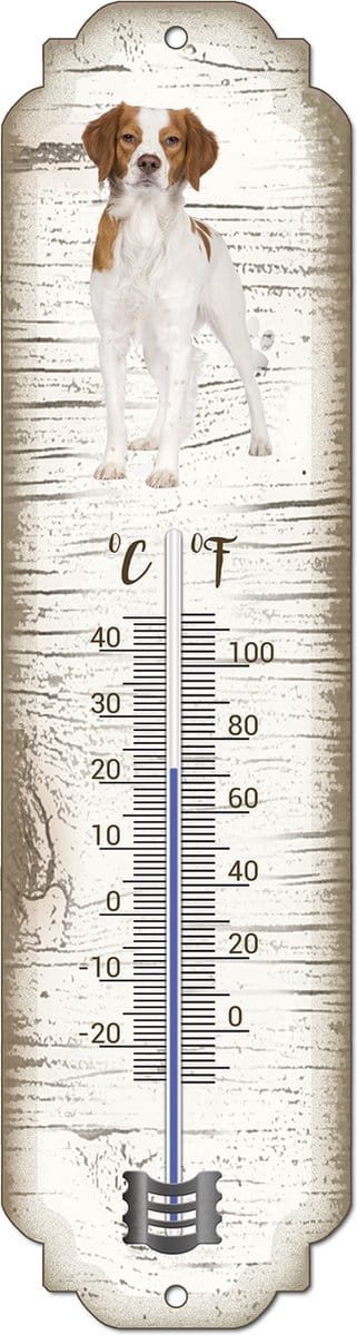 Thermometer: Epagneul Breton | Hondenras | Temperatuur binnen en buiten | -25 tot +45C