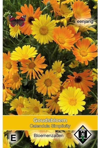 Van Hemert - Goudsbloem Simplicity (Calendula officinalis)
