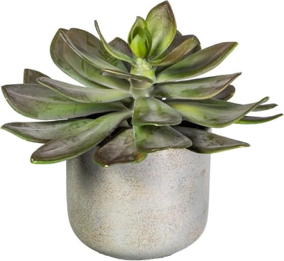 Groene Kunstplant - Vetplant Echeveria - Decoratief Element - Natuurgetrouwe Look - 21 cm Hoog - Groen Roze