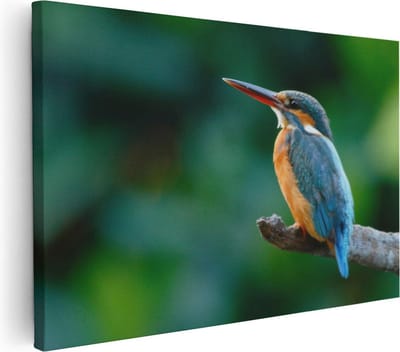 Artaza Canvas Schilderij Vogel - 30x20 cm - Klein - Wanddecoratie Dieren - Muurdecoratie IJsvogel Op Tak - Kamer Accessoires