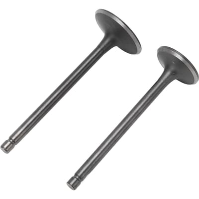 Uitlaat Inlaatklep Kit Zwarte Uitlaat Inlaatklep Set Vervanging voor XG250 TRICKER 2004?2017 gray