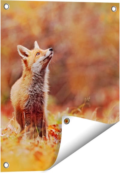 Gards Tuinposter Vos in het Bos tussen de Bladeren - 40x50 cm - Tuindoek - Tuindecoratie - Wanddecoratie buiten - Tuinschilderij