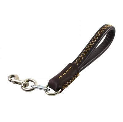 Dailygoods- Hondenriem Korte Lederen - Trainingslijn met Gewatteerd Handvat - Karabijnhaak - Geschikt voor Middelgrote/Grote Honden - 35 cm Lengte - Duurzaam en Handgemaakt - Hondentuig