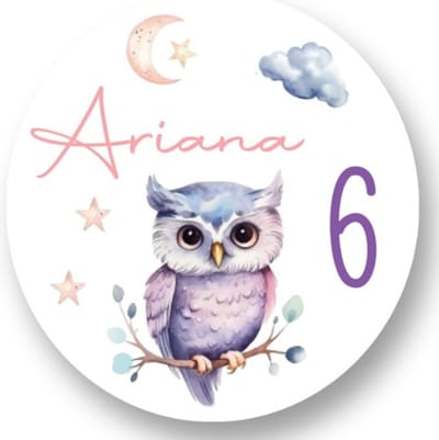 20x Sluitsticker Uil - Uiltje watercolour - 40 mm - Verjaardags sticker - Sluitzegel - Sticker Verjaardag jongens meisjes - Uitdelen - Cadeau's Kado's - Glossy - Sluitzegel - Wensetiket - Uitdelen - Jarig - Trakteren - Afscheid