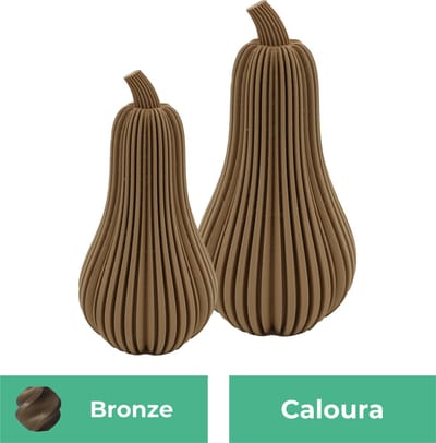 Caloura pompoen beeld set – Decoratief beeld - Brons - 3d geprinte beeld – Herfst woondecoratie - 11CM & 14CM
