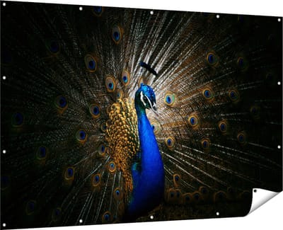 Gards Tuinposter Blauwe Pauw met Grote Veren - 180x120 cm - Tuindoek - Tuindecoratie - Wanddecoratie buiten - Tuinschilderij