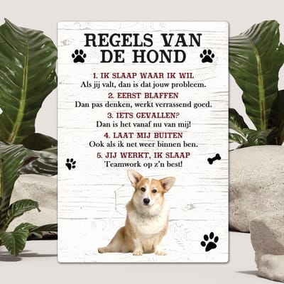 Spreuken - Welsh Corgi Pembroke - Regels Van De Hond - Spreuken Bordjes - Spreukenbord - Tekstborden - Cadeau - Hondenras
