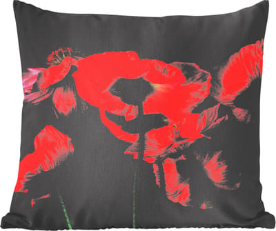 Sierkussens - Kussentjes Woonkamer - 60x60 cm - De IJslandse papavers op een zwarte achtergrond