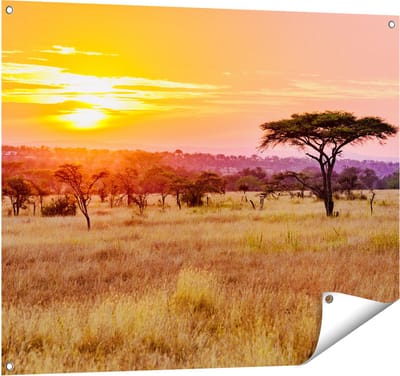 Gards Tuinposter Zonsondergang in de Savanne - 100x80 cm - Tuindoek - Tuindecoratie - Wanddecoratie buiten - Tuinschilderij