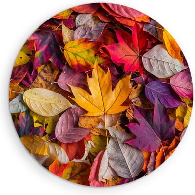 Saammp Muurcirkel Hout - Geel Blad - Herfst - Landschap - Natuur - Ø 90 - Wandcirkel - Wanddecoratie Cirkel - Muurdecoratie Woonkamer - Slaapkamer decoratie - Rond Schilderij